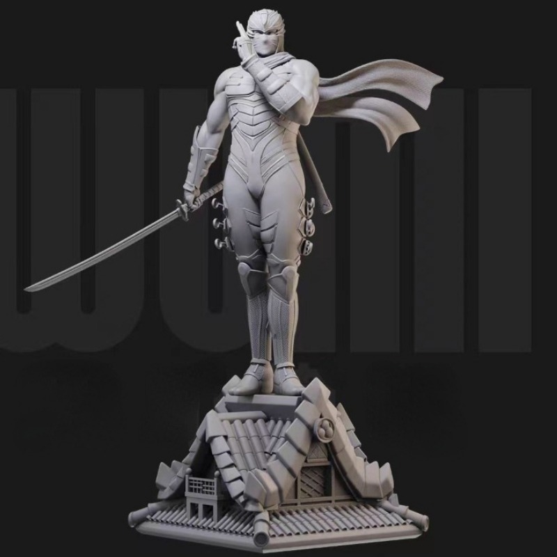 1/24  Miniature Black Robe Nin - Model Kit Galahad review and price