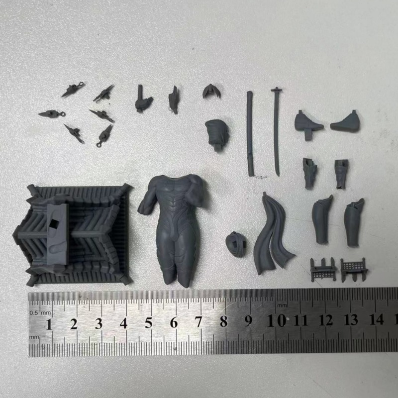 1/24  Miniature Black Robe Nin - Model Kit Galahad review and price