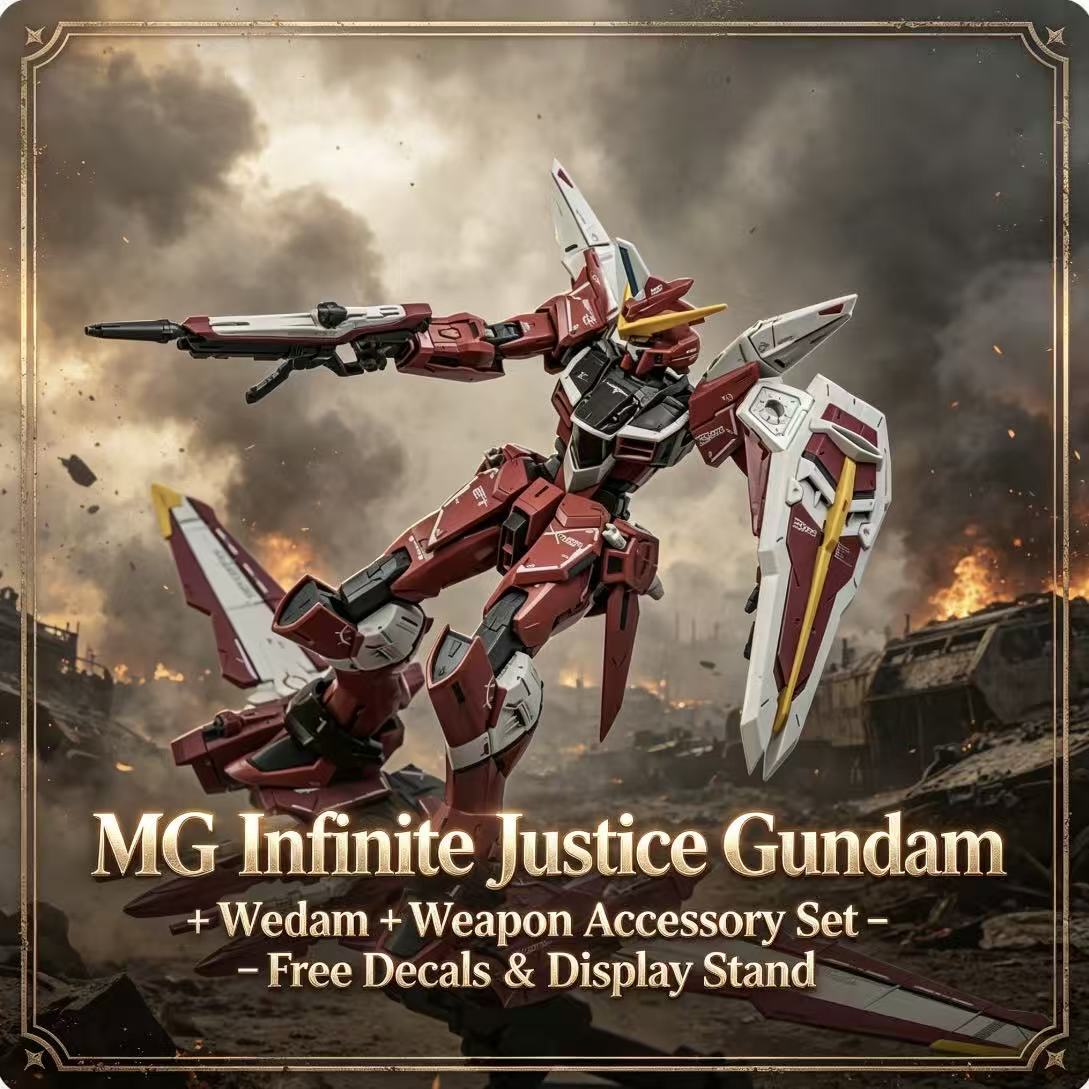 X09A MG CHENGSHUN MG 1/100 Zgm - Gundam Model Mg review and price