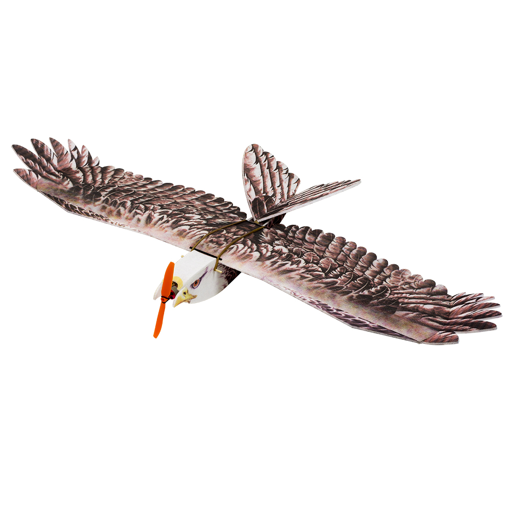 DW Hobby Eagle II EPP Airplane - Model Kit Expert review and price