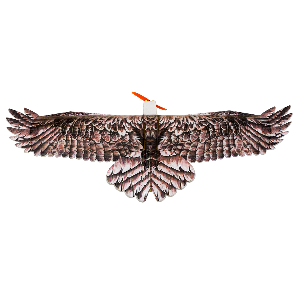 DW Hobby Eagle II EPP Airplane - Model Kit Expert review and price